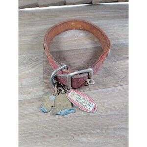 Vintage Leather  Studded Dog Collar Tags Licenses Portland OR 1951